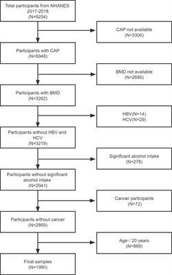 Relationship Between Non-Alcoholic Fatty Liver Disease and Degree of Hepatic Steatosis and Bone Mineral Density